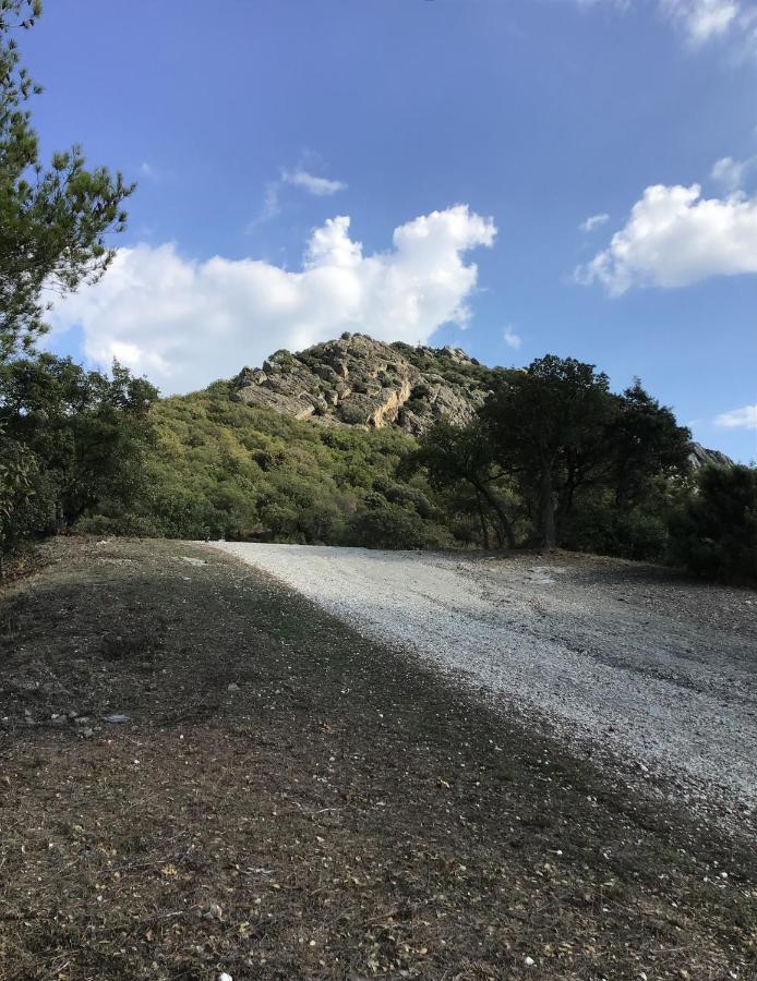 Roulotte Fenouillet Campo de lujo